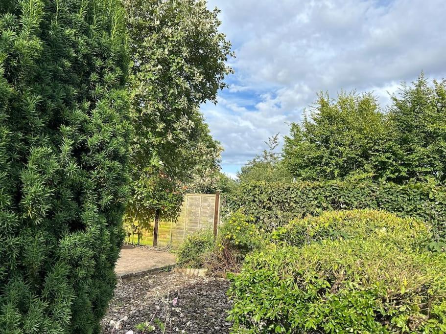 Abacus Cottage Whitwell-on-the-Hill ภายนอก รูปภาพ